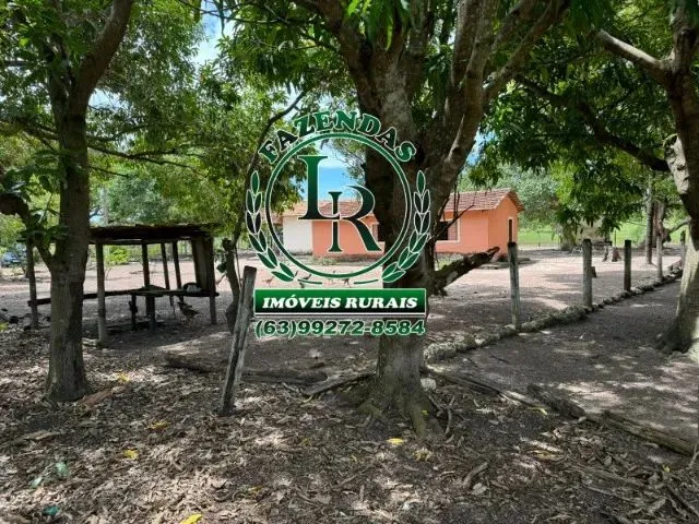 Imagem 9: Fazenda 100 Aqueires Dupla Aptidão Tocantins