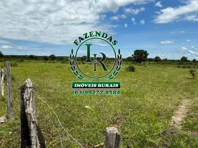 Imagem 10: Fazenda 100 Aqueires Dupla Aptidão Tocantins