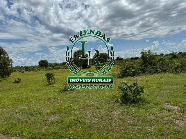 Imagem 12: Fazenda 100 Aqueires Dupla Aptidão Tocantins