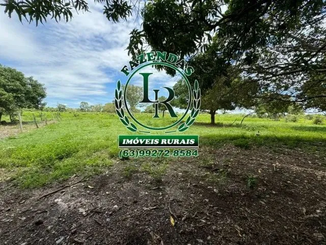 Imagem 16: Fazenda 100 Aqueires Dupla Aptidão Tocantins