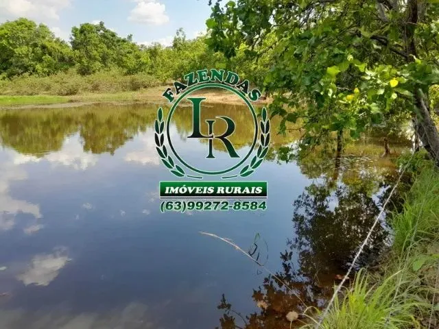Imagem 4: Fazenda 100 Aqueires Dupla Aptidão Tocantins
