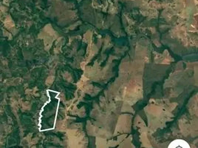 Imagem: Fazenda em Luzimangues. 50 Mil por Alqueire