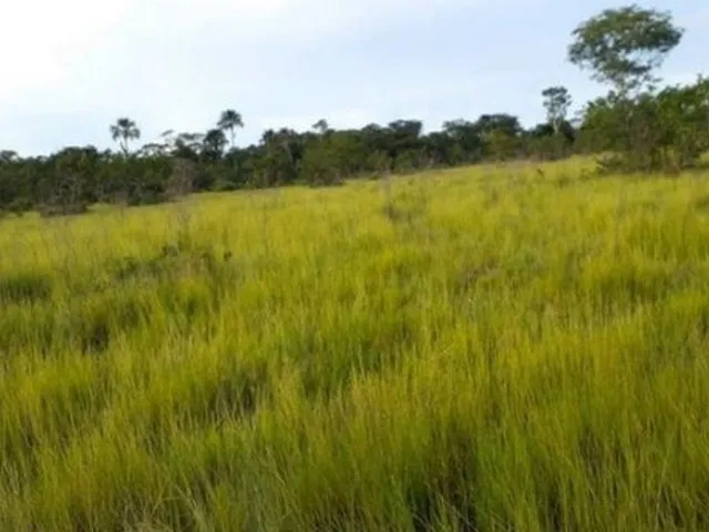 Imagem: Fazenda em Ipueiras-To. 50 Mil