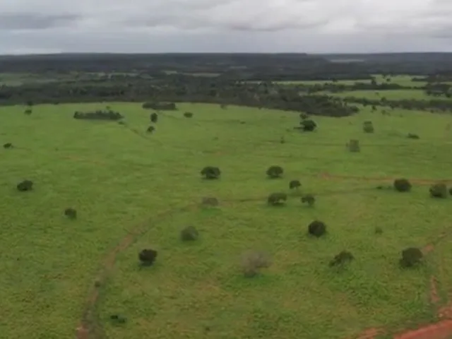 Imagem: Fazenda em Goiatins. 73 Mil por Alqueire