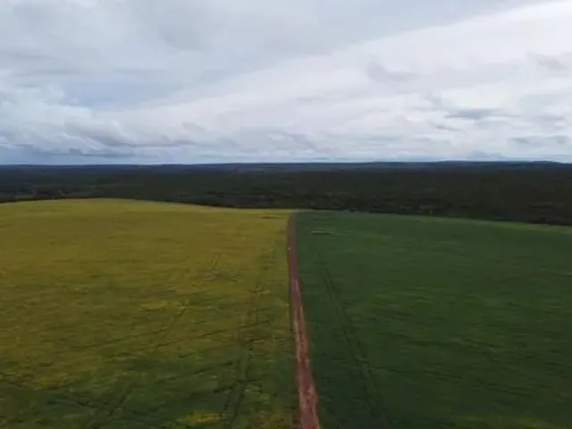 Imagem: Fazenda em Novo Acordo. 67 Mil com Lavoura