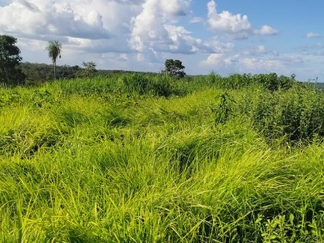 Imagem: Fazenda no Vale do Araguaia-To