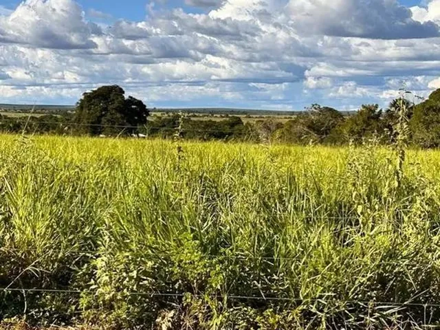Imagem: Fazenda em Novo Acordo/Rio Sono