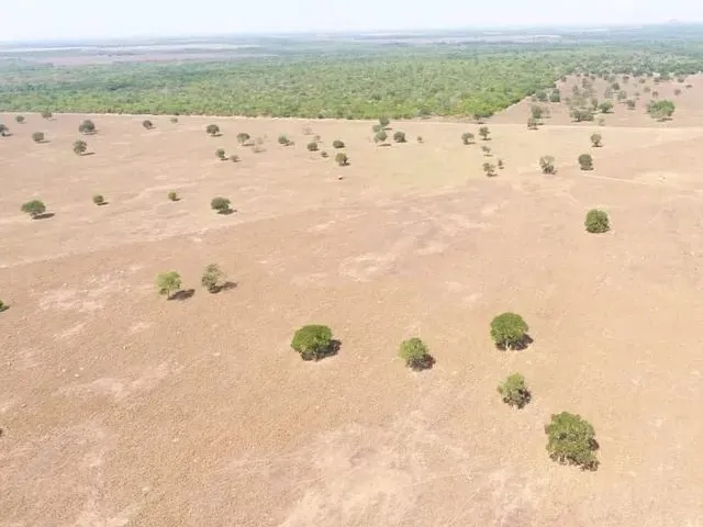 Imagem 5: Fazenda em Silvanopolis. Dupla Aptidão