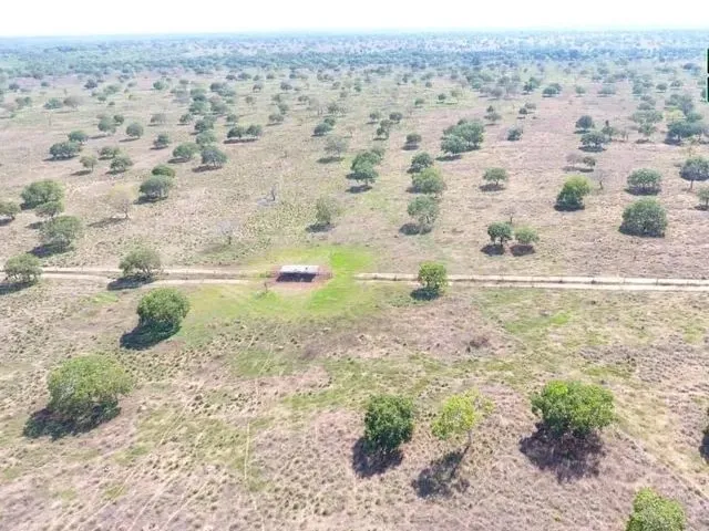 Imagem 6: Fazenda em Silvanopolis. Dupla Aptidão