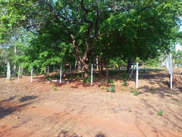 Imagem: Lote Área Rural Chacaras