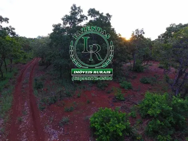 Imagem: Fazenda 216 Alqueires Bruta Luzimangues