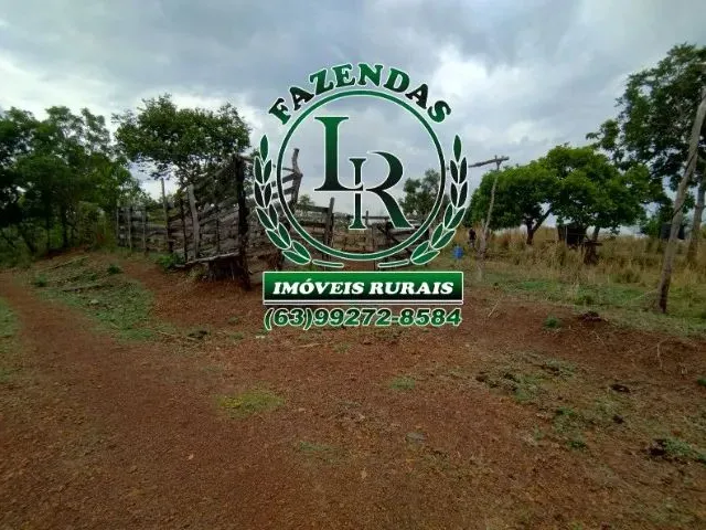 Imagem 6: Fazenda 43 Alqueires Próximo a Palmas