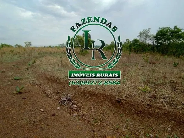 Imagem 7: Fazenda 43 Alqueires Próximo a Palmas