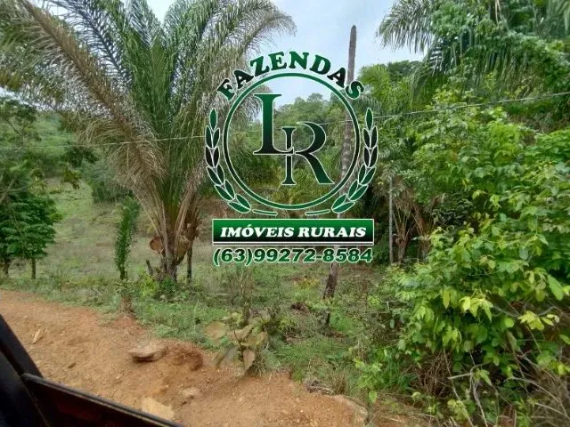 Imagem 4: Fazenda 43 Alqueires Próximo a Palmas