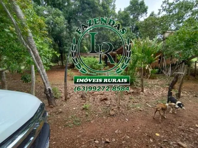 Imagem 8: Fazenda 43 Alqueires Próximo a Palmas