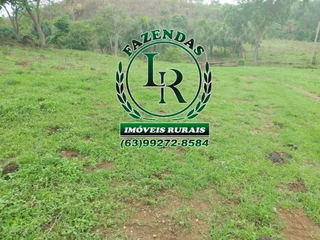 Imagem 2: Fazenda 43 Alqueires Próximo a Palmas