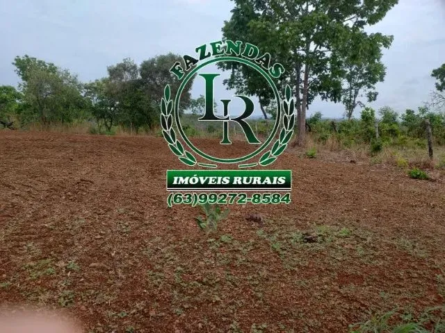 Imagem 9: Fazenda 43 Alqueires Próximo a Palmas