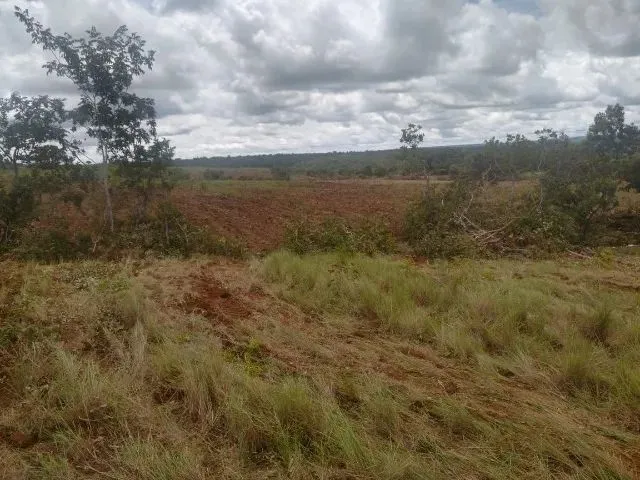 Imagem: Explore as Vantagens de Comprar Uma Fazenda