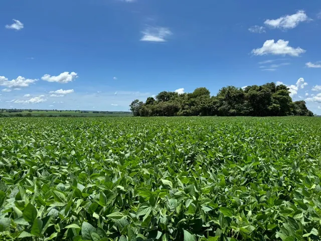 Imagem: R$200 Milhões Fazenda de 4.862 Ha em To