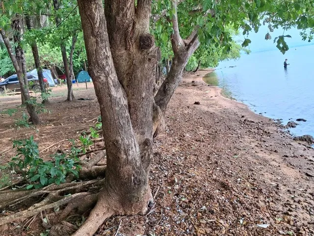 Imagem: Vendo Ágil de Chácara, em Condomínio