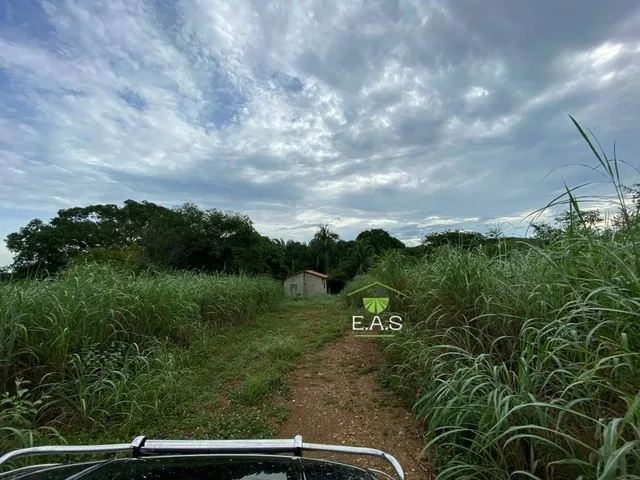 Imagem: Fazenda em Cristalandia. 40 Mil por Alqueire