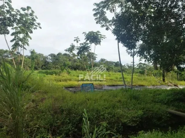 Imagem: Vende-Se Chácara 3 Alq - Loteamento Água
