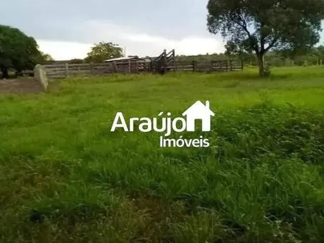 Imagem: Fazenda, Área Rural de Palmas, Palmas