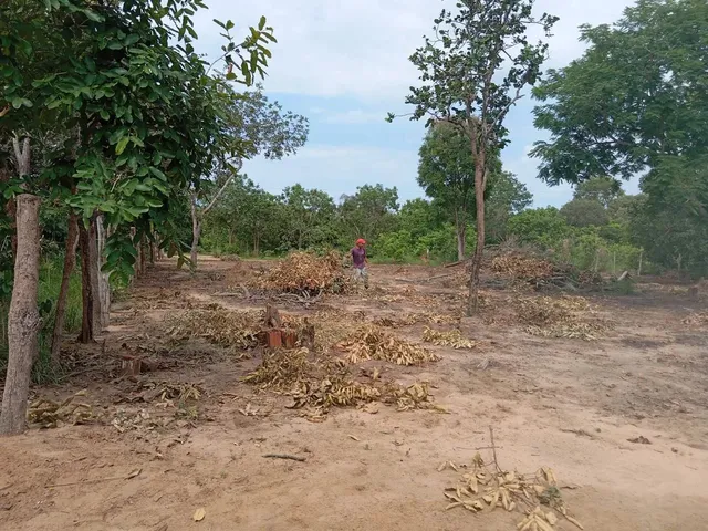 Imagem: Chácara 1200M Quadrados. 30 por 44