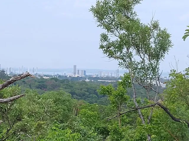 Imagem: Vendo Área na Serra a 3 Km de Palmas