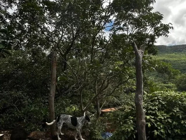 Imagem: Chácara