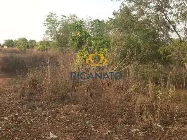 Imagem: Excelente e Enorme Lote Ao Lado do Polinésia