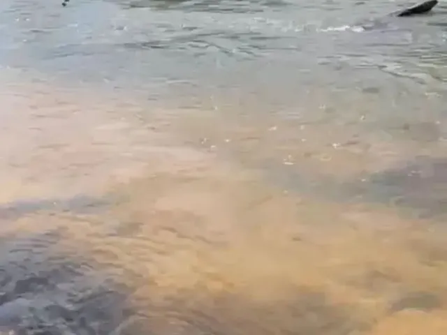 Imagem 13: Fazendão a Venda, no Sudoeste do Tocantins!!!