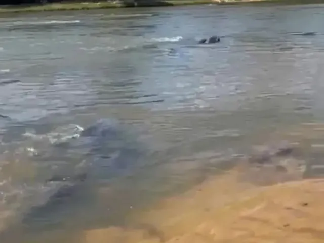 Imagem 8: Fazendão a Venda, no Sudoeste do Tocantins!!!