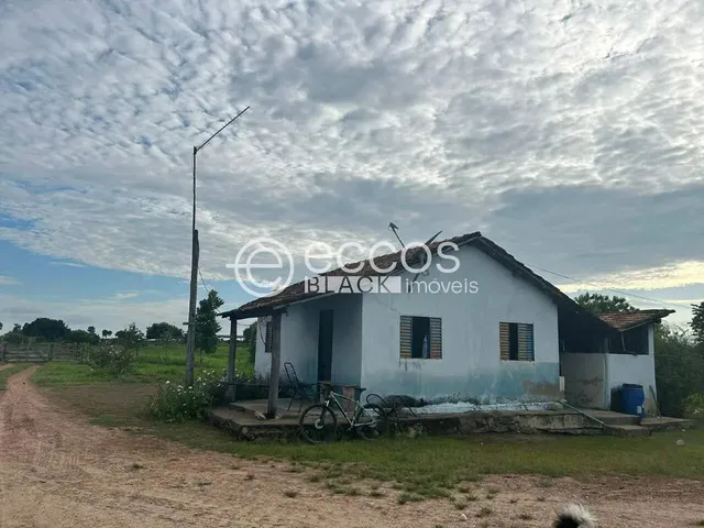 Imagem: Fazenda À Venda, Área Rural - Paranã/To