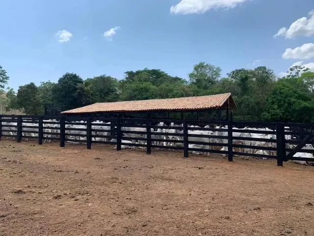 Imagem: Fazenda em Palmas