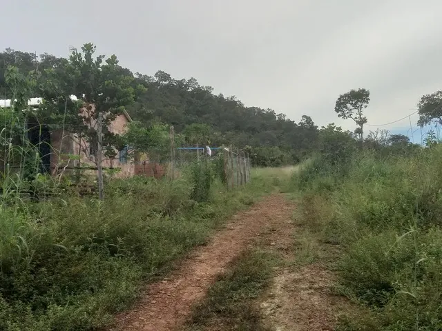 Imagem: Lote Rural Palmas 5 Km Ifto Pega Carro