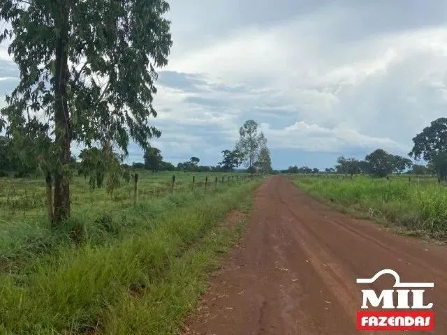 Imagem: Fazenda a 150 Km Palmas. 380 Alq. (1.839
