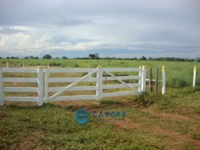 Imagem: Área Rural, no Tocantis