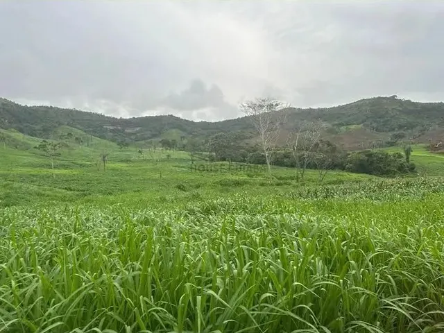 Imagem: Área de Terra de 247 Alqueires com Excelente