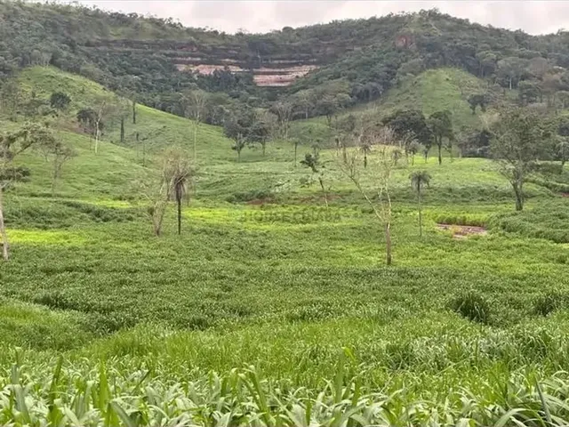Imagem 3: Área de Terra de 247 Alqueires com Excelente Localização na Região da Cidade De