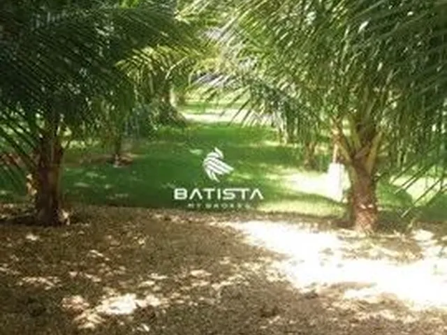 Imagem 3: Chacará de Luxo 8.207 M2, 47 Km de Palmas