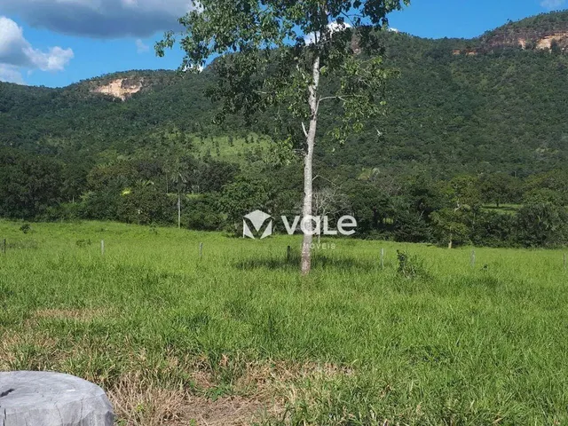 Imagem: Fazenda À Venda, 571120 M² por R$ 3.000.000,00