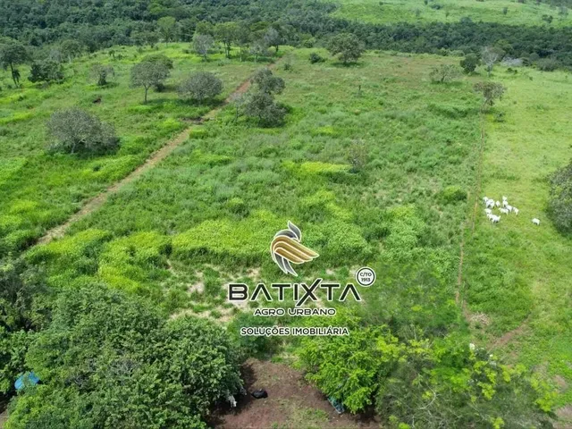 Imagem: Fazenda 43 Alqueires, 30 Km de Palmas
