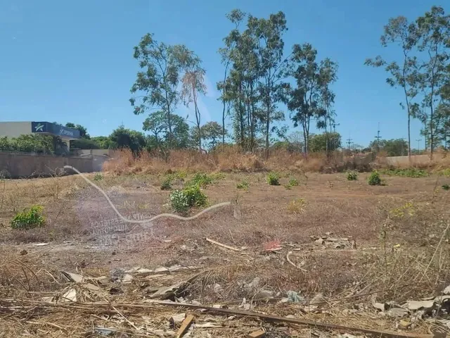 Imagem: Vende-Se Lote Próximo a Teotonio Segurado