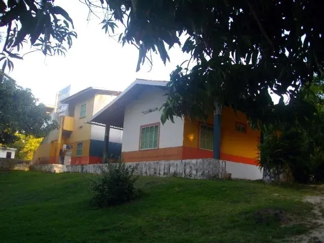 Imagem 3: .