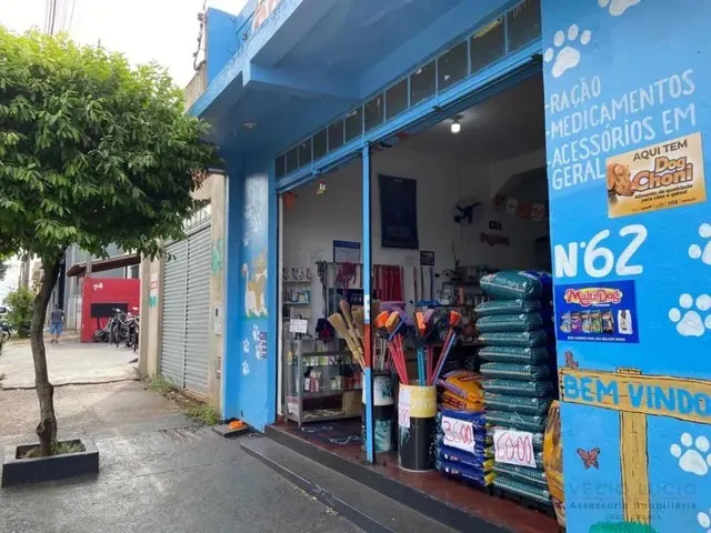 Imagem 4: Barracão Comercial
