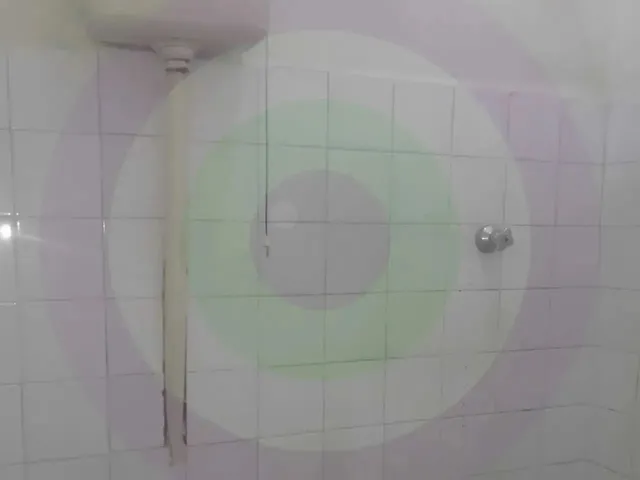 Imagem 6: Casa para Aluguel no Centro de Aracaju