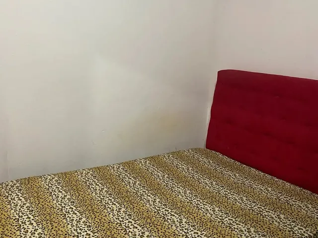 Imagem 2: Aluga-Se Quarto Mobiliado na Coroa do Meio