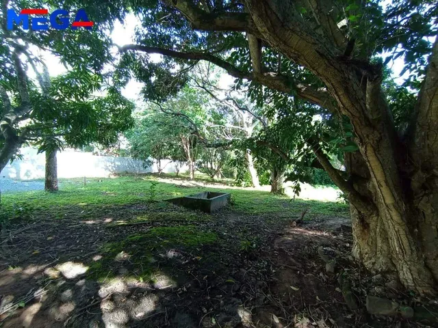 Imagem 13: Casa com 6 Quartos a Venda no Bairro Centro -Tianguá -Ce