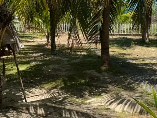 Imagem 3: Aluga- Se - Casa Beira Mar na Praia do Guaibim